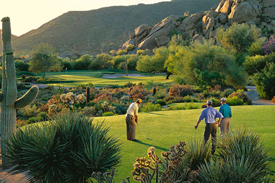 Golfers in Arizona